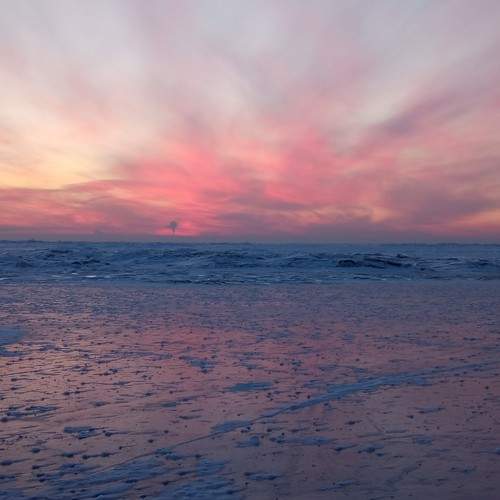 Photo #8428432