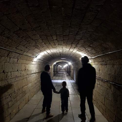 Photo #8428815