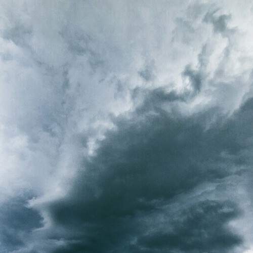 Photo #8428832