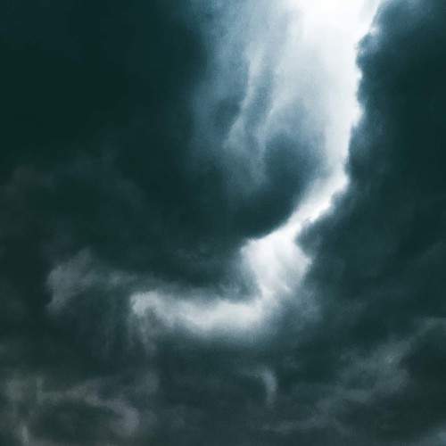 Photo #8428834