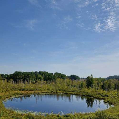 Photo #8429140