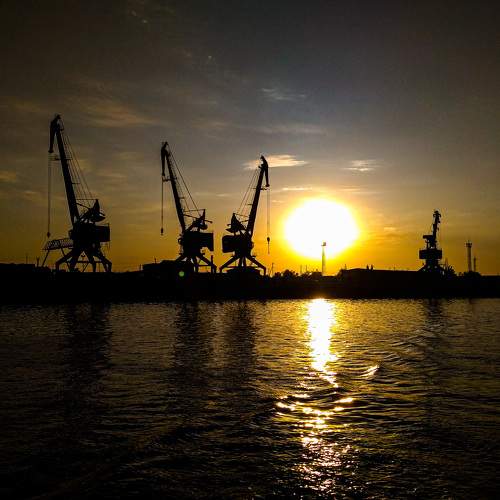 Photo #8429598