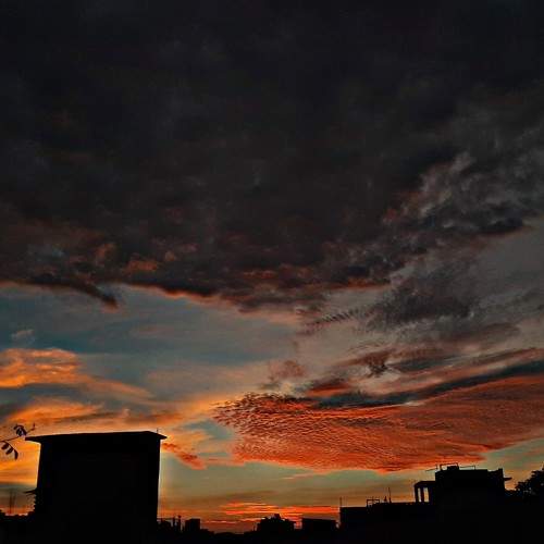 Photo #8429769