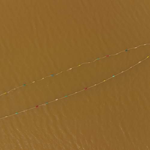 Photo #8429782