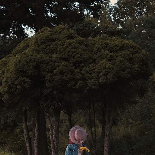Photo #8429813