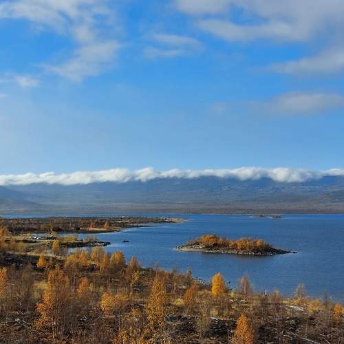 Photo #8430003