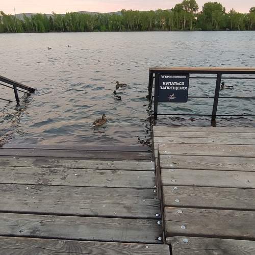 Photo #8430493