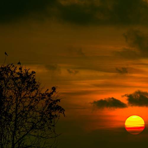 Photo #8430508