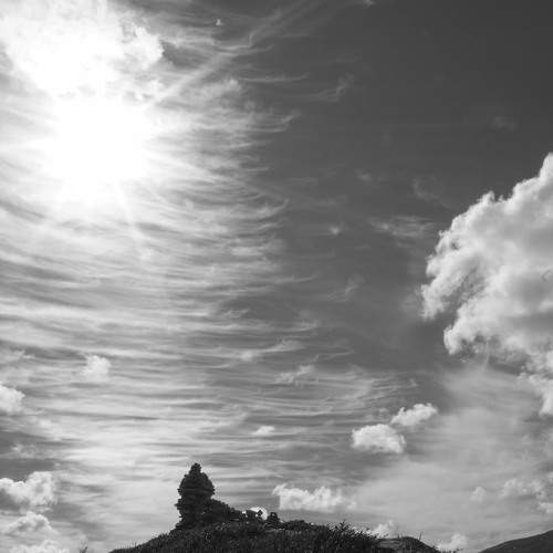 Photo #8430618