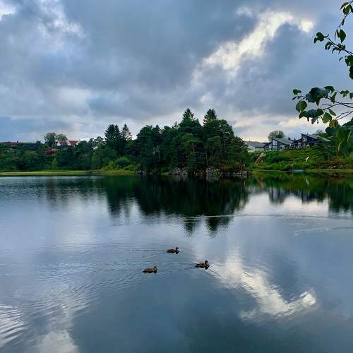 Photo #8431496