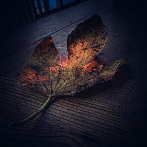 Photo #8431520