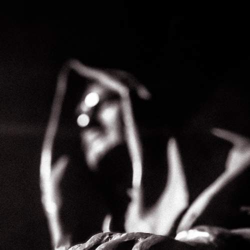 Photo #8431522