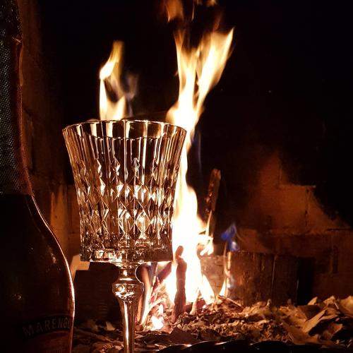 Photo #8431645