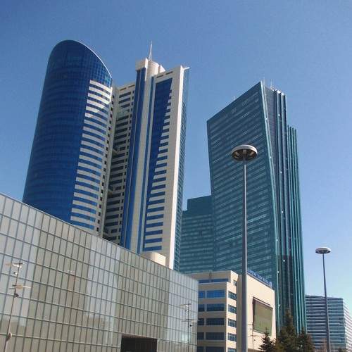 Photo #8431795