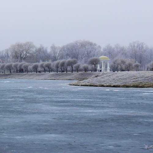 Photo #8432010