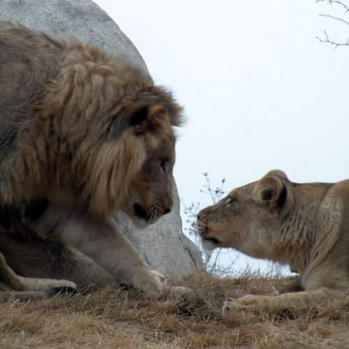 Photo #8432169