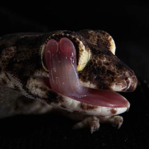 Photo #8432791