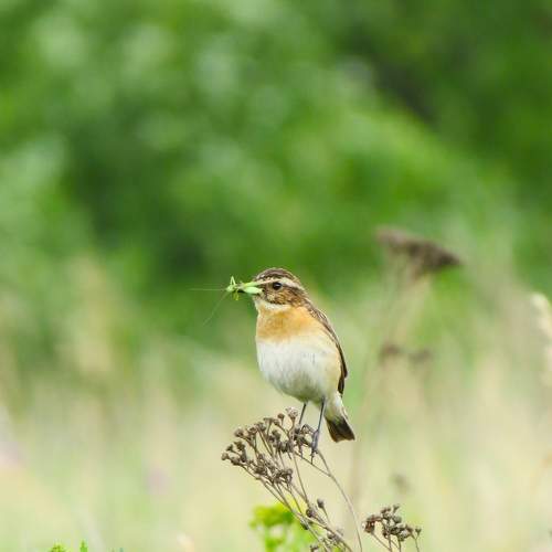 Photo #8432853