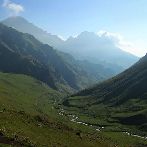 Photo #8432886
