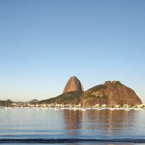 Photo #8433161