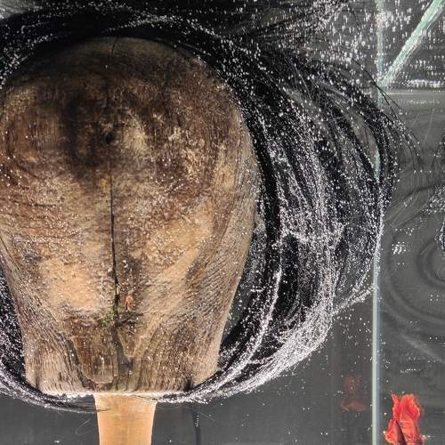 Photo #8433267