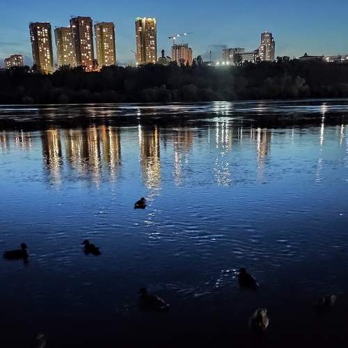 Photo #8433281