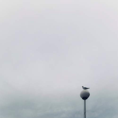 Photo #8433309