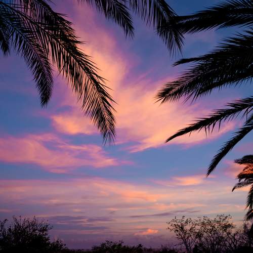 Photo #8433511