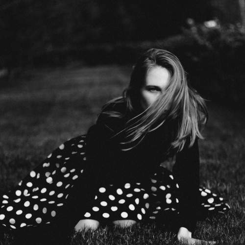 Photo #8433516