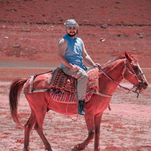 Photo #8433597
