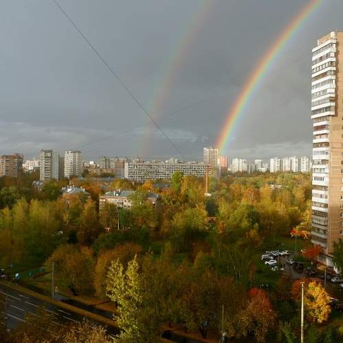 Photo #8433659