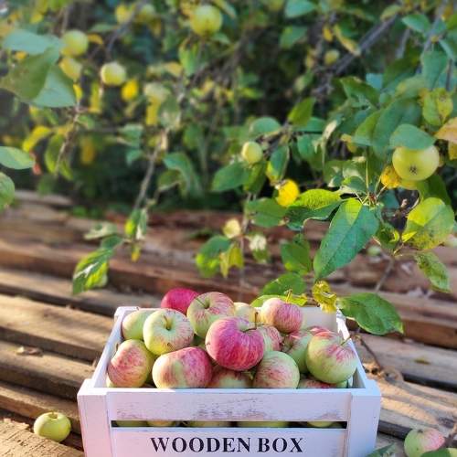 Photo #8434008