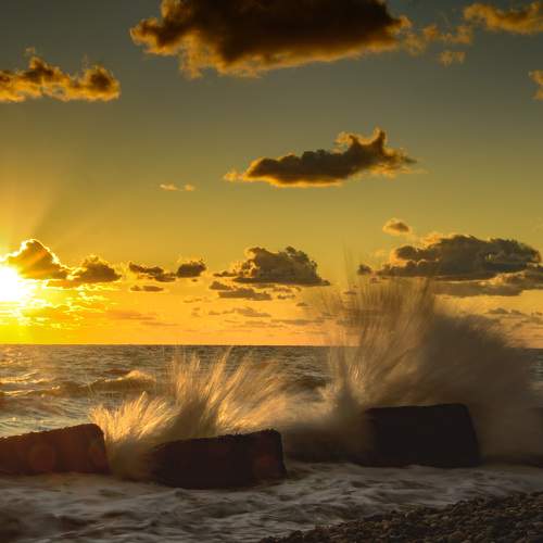 Photo #8434542