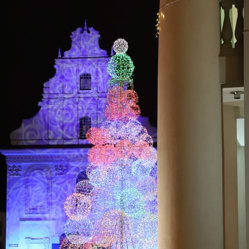 Photo #8435316