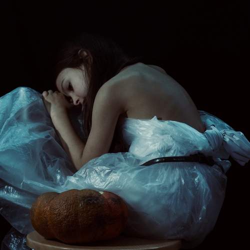 Photo #8435648