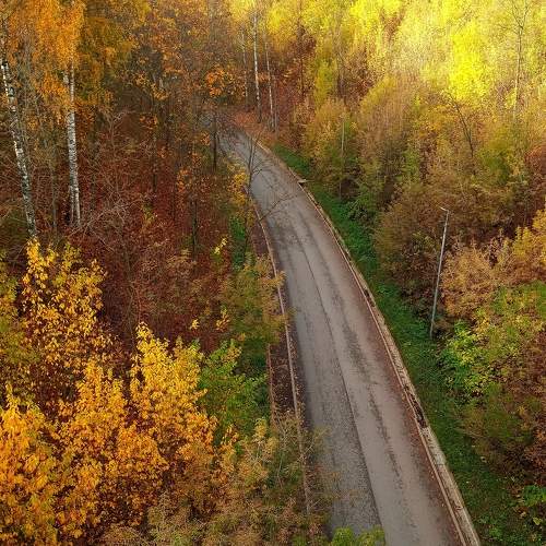 Дальше в Осень