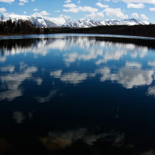 Photo #8436339