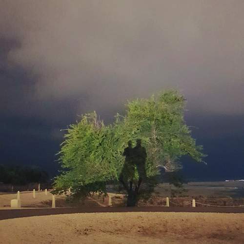 Photo #8436515