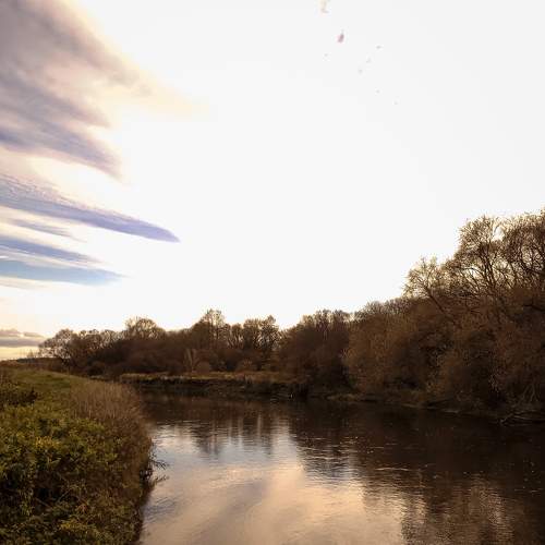 Photo #8436600