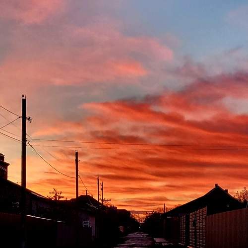 Photo #8436791