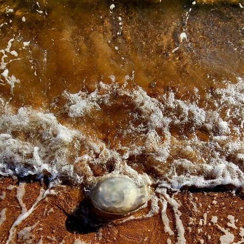 Photo #8436792