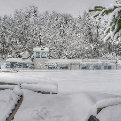 Photo #8437135