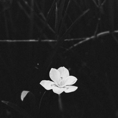 Photo #8437691