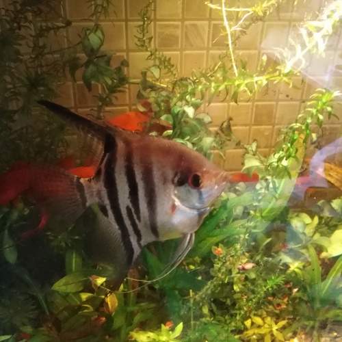 Photo #8437800