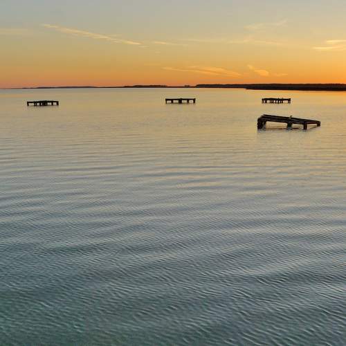 Photo #8438601