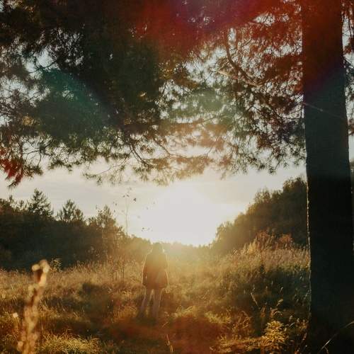 Photo #8438734