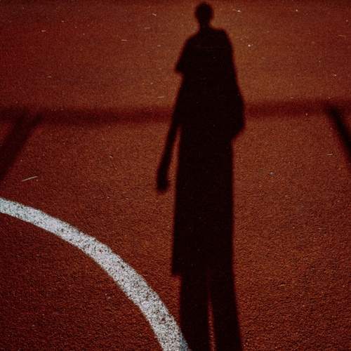 Photo #8438799