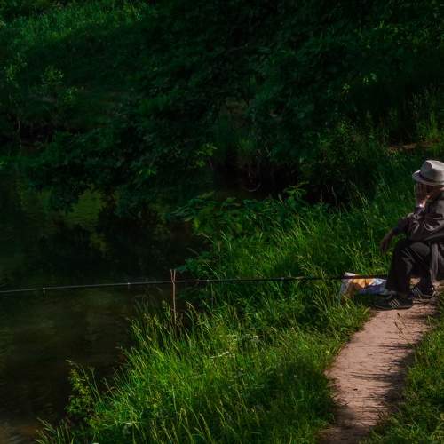 Photo #8438824