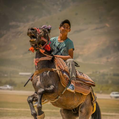 Photo #8438868
