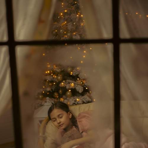 Photo #8439613